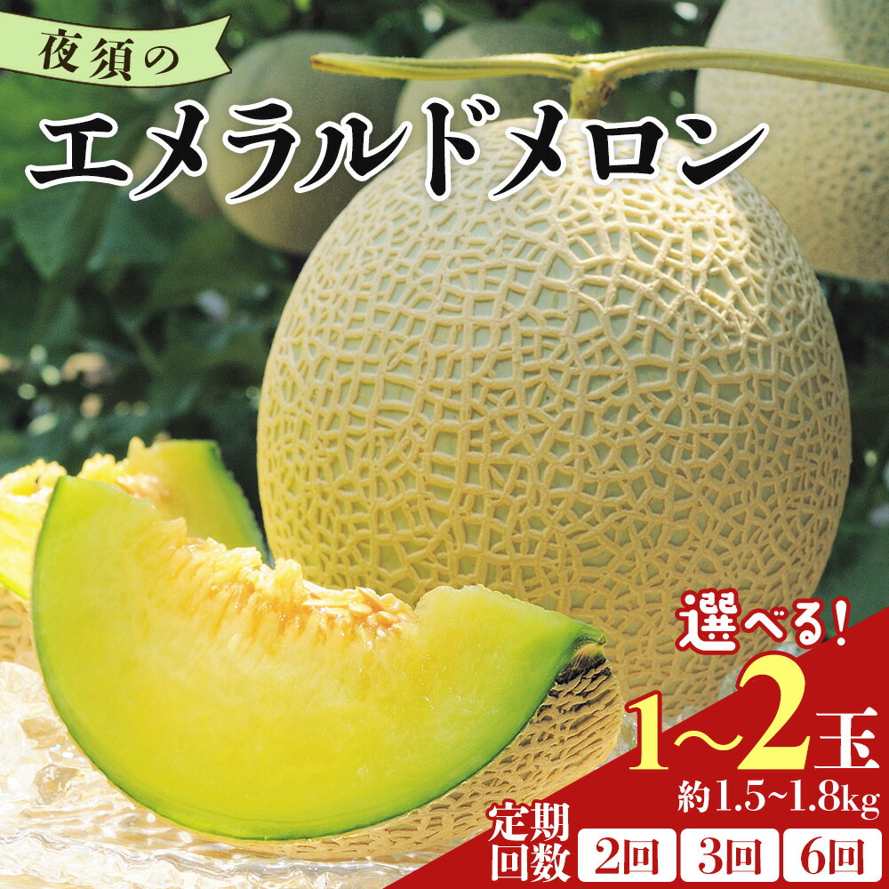 【ふるさと納税】【発送開始】【選べる】夜須のエメラルドメロン (数量1玉/2玉) (定期便 2/3/6回) - テレビ朝日「ザワつく!金曜日」で特集 紹介 くだもの フルーツ ギフト マスクメロン 青肉 ギフト 贈答用 ソーダやシロップに 高級 ケーキに 産地直送 JA高知県 香南市