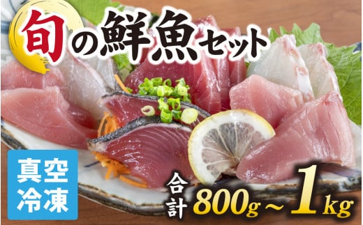 【日本海鮮魚】漁師厳選鮮魚真空冷凍セット 約800g～1.0kg(3種以上)   鮮魚ボックス  直送  鮮魚 | 魚 詰め合わせ 新鮮 煮物 焼き物 お造り 刺身 晩酌 食卓 BBQ 急速冷凍 真空パック 鮮魚セット 詰合せ 鮮魚店 厳選 お任せ 鮮度 産直 海鮮 加熱用 冷凍保存 福井県 南越前町 越前 送料無料 さへい 河野 越前 北陸