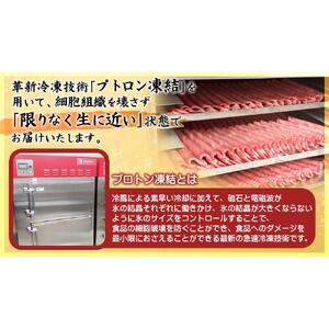 近江牛 A5ランク サーロインステーキ 180g×2枚