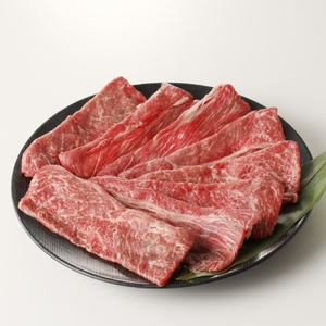 【6回定期便】丸福 肉の定期便 ／ 佐賀牛 豚肉【Z029】