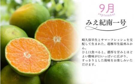 【全3回】仲森農園の柑橘定期便 合計3種 21kg 【超極早生温州「みえ紀南一号」・極早生温州・早生温州「完熟熊野みかん」】【nkmr-tkb0017】