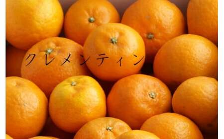 クレメンティンジュース 720ml 2本セット （家庭用） 【2026年2月上旬～9月下旬発送予定】 みかん 柑橘 フルーツ ジュース 早津みかん園 佐賀県 太良町 ND13x1-2