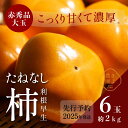 【ふるさと納税】柿(種無し) 6個入 (約2kg) 秀品大玉【2025年9月下旬頃より発送】【KT1】 | 柿 かき フルーツ 果物 くだもの 食品 人気 おすすめ 送料無料