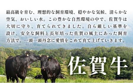 【厳選希少部位】【A4～A5】佐賀牛ミスジステーキ　約1ｋｇ（100ｇ×10ｐ）