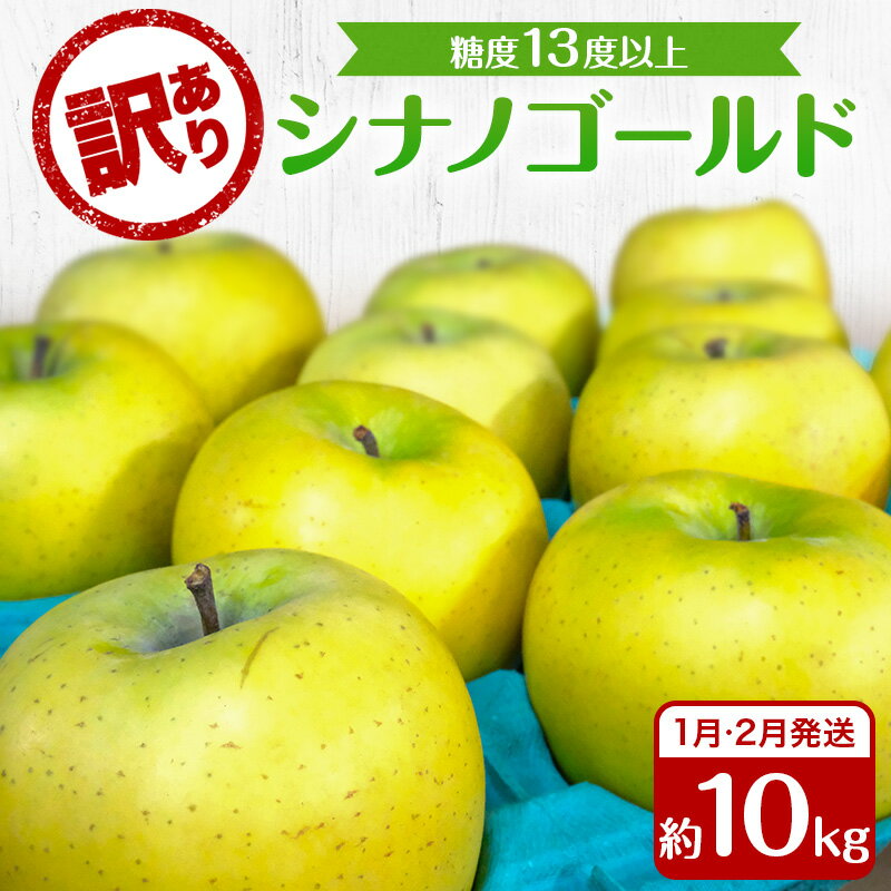 【ふるさと納税】りんご 【1月・2月発送】 糖度13度以上 訳あり品 家庭用 シナノゴールド 約 10kg 【 青森りんご 果物 フルーツ デザート 食後 青森県産 産地直送 】　お届け：2026年1月5日頃～2026年2月28日