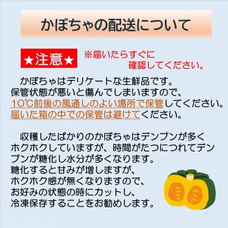 【2024年秋出荷（先行予約商品）】十勝の秋の味覚　野菜詰合せ（南瓜・玉ねぎ）セット【工房みみずく】"北海道 十勝 豊頃町"