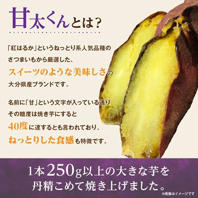冷凍焼き芋「甘太くん」250g×5本　計1.25kg【配送不可地域：離島】【1731780】