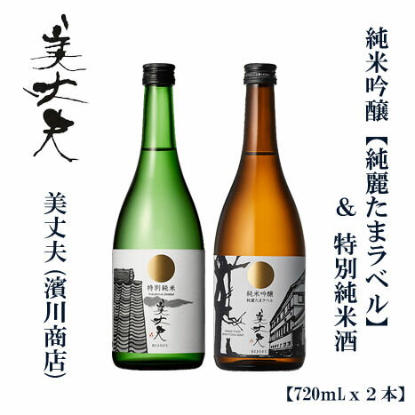 【ふるさと納税】 美丈夫 純麗たまラベル 720ml ＆ 特別純米 720ml （各1本）/ 高知 地酒 日本酒 酒 飲み比べ セット 【近藤酒店】[ATAB208]