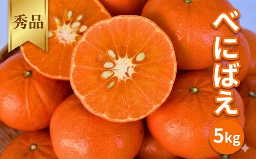 【2027年分先行予約】べにばえ 5kg ※2027年1月上旬～順次発送予定【期間限定・数量限定】 / みかん 蜜柑 5キロ 紅映 お取り寄せ 産地直送 贈答品 ギフト 果物 くだもの フルーツ 田辺市 和歌山県【ymh024】