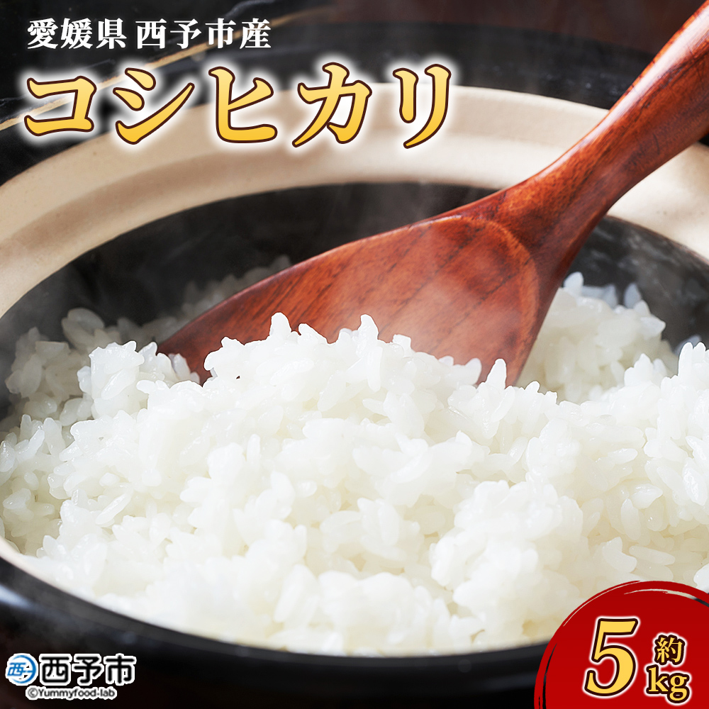 【先行予約】＜令和8年産 愛媛県西予市産 コシヒカリ 5kg＞ お米 コメ こめ 白米 精米 ご飯 新鮮 5キロ 国産 愛媛県産 宇和町産 こしひかり 特産品 もとき農園 愛媛県 西予市