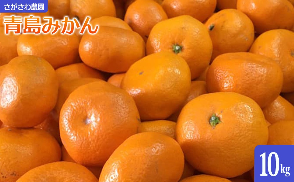 
                  青島みかん10kg | 湯河原町 みかん 柑橘 旬 青島みかん 10kg フルーツ
                