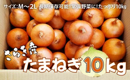 予約受付 たまねぎ 10kg さらき産【2026年7月発送開始】 岩手県 北上市 C0447 令和8年産 国産 玉ねぎ 玉葱 カレー シチュー 新鮮 フレッシュ オニオン サラダ BBQ 焼肉 野菜 Mサイズ Lサイズ 2Lサイズ 株式会社さらき
