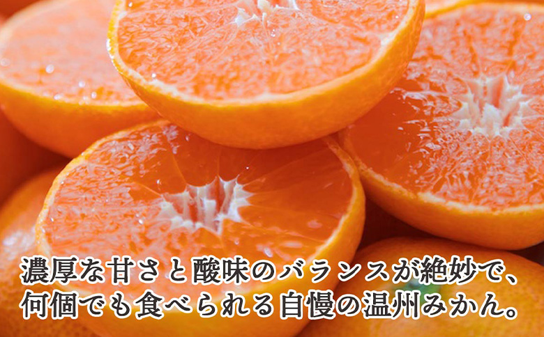 先行予約＜訳あり 愛媛県産 小玉みかん 合計約2kg＞ 『2026年11月以降順次出荷予定』ミヤモトオレンジガーデン 愛媛県 西予市