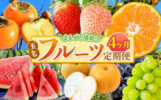 【 定期便 4回 】 まるごと 堪能 ！ 人気 フルーツ | 果物 くだもの フルーツ みかん 赤いちご 白いちご 不知火 スイカ メロン 黒ぶどう シャインマスカット 太秋柿 定期便 4回 熊本県 玉名市