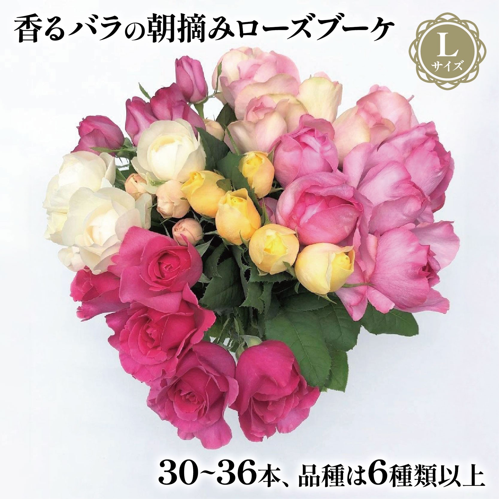 
                  バラ 花束 ブーケ 朝摘み Lサイズ 薔薇 花 ばら パフューム ローズ 生花 ギフト 花 プレゼント 祝い 母の日 卒業式 贈り物 贈答 記念日 朝摘み 香りバラ ギフト  静岡県 藤枝市 
                