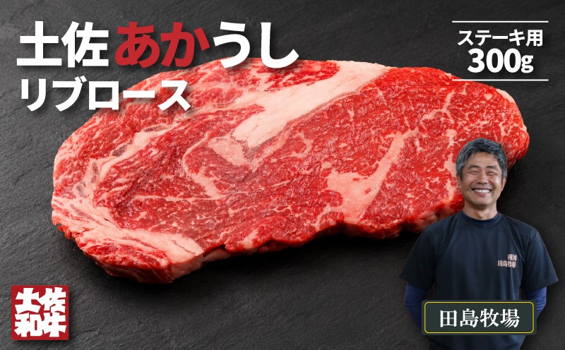 
                  赤身 土佐 あかうし 赤牛 リブロース ステーキ用 300g | 和牛 あか牛 アカウシ 牛肉 希少 ブランド 国産 プレゼント ギフト 冷凍 贈答 高知県 南国市
                