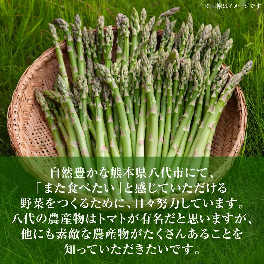 アスパラガス 1kg （M～2Lサイズ混合） アスパラ 新鮮 夏野菜 野菜 やさい 旬 産地直送 野菜ソムリエサミット 銀賞 熊本県 八代市