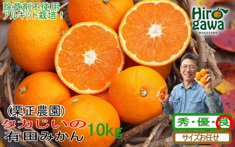 
            タカじいの 有田 みかん 10kg （良品 サイズ混合 or 大玉） / 温州みかん 有田みかん 甘い 家庭用 和歌山 柑橘 ※12月順次発送【krs004-c-10-12A】
          