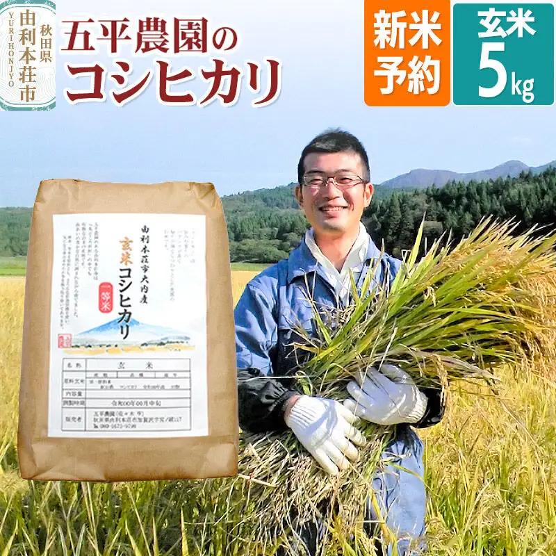 《令和8年産 新米受付》【玄米】コシヒカリ 5kg 秋田県産 五平農園のコシヒカリ《11月下旬～12月下旬発送予定》