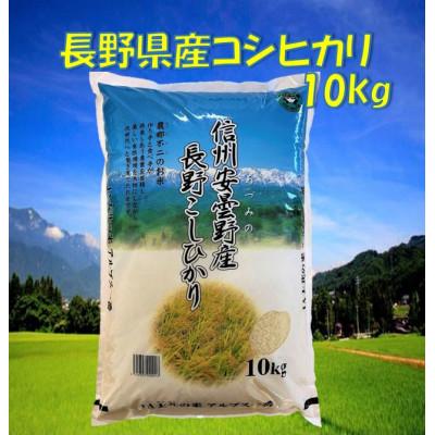 ふるさと納税 池田町 長野県産コシヒカリ10kg(精米)