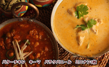 印度料理シタール 3カレーセット【カレー 詰め合わせ 加工食品 レトルト食品 惣菜 レトルト 簡単調理 】 冷凍 インドカレー バターチキンカレー マイルド スパイシー 辛口 キーマカレー ほうれん草
