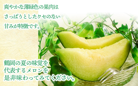 【令和8年産先行予約】 庄内砂丘青肉メロン 秀品 大玉 約5kg (3～4玉)　山形県鶴岡市産　株式会社 元青果