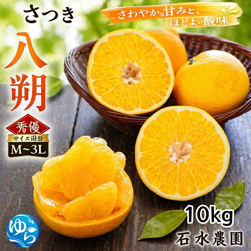 【ふるさと納税】 さつき 八朔 10kg 秀優品 (サイズ混合) / はっさく みかん 柑橘 晩柑 和歌山 由良町 甘い 農家直送 ※2027年3月中旬から4月下旬に順次発送