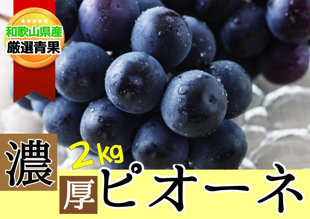 【甘さとみずみずしさが自慢】種なしピオーネ＜ぶどう約２kg＞★8月下旬から9月中旬発送★ 303446_BE90004