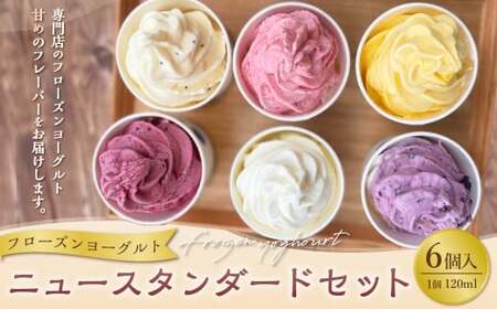 ニュースタンダード6個セット フローズンヨーグルト 120ml×6個 合計720ml セット 詰め合わせ