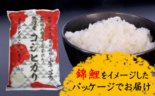 
r05-13-9 特別栽培棚田米 魚沼コシヒカリ 5kg【錦鯉デザインパッケージ】 棚田米 白米
