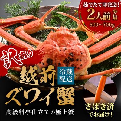 ふるさと納税 福井市 【11月〜12月に発送】【捌き済で楽々】茹で越前がにズワイガニ 小1杯500〜700g 訳あり