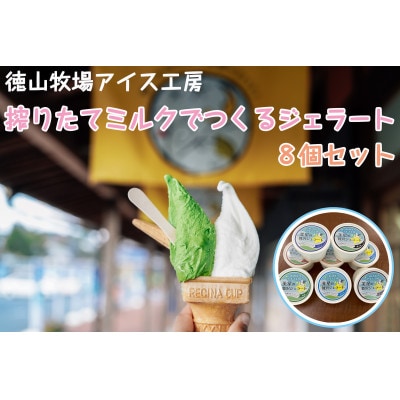 徳山牧場アイス工房の搾りたてミルクでつくるジェラート8個セット【配送不可地域：離島】【1423319】