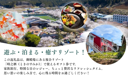 旅行 静岡 時之栖 グループ ギフト券 30,000円分 （10万円寄付コース） チケット 券 旅行券 宿泊券 食事券 利用券 ホテル 温泉 レストラン グランピング 施設 トラベル 観光 体験 旅 