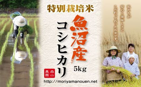 令和7年産 森山農園 特別栽培米 魚沼産コシヒカリ（新潟県認証）10kg（5kg×2） お米 