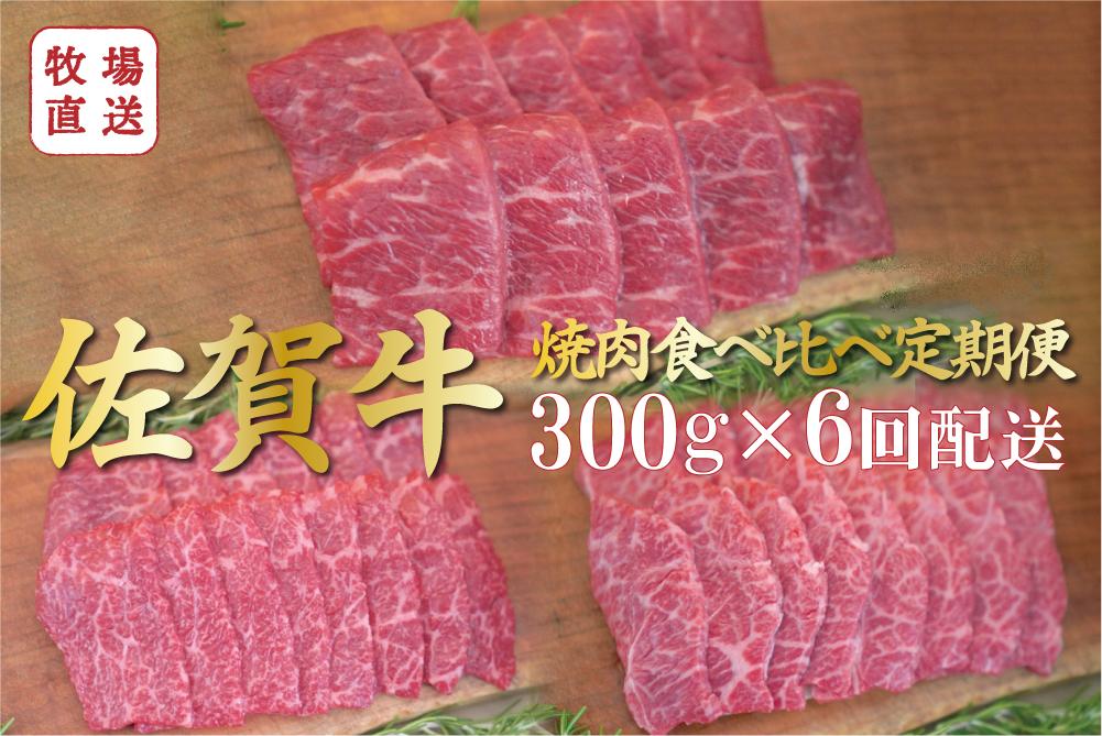 
            【定期便セット】全6回 佐賀牛の焼肉食べ比べセット / 焼肉用赤身・ロース・カルビ各300g TOMMY BEEF
          