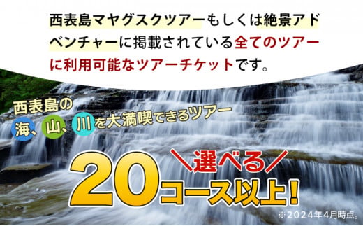 旅行券 沖縄 チケット 西表島 アクティビティ ツアーチケット 6,000円 旅行クーポン 旅行 体験 観光 クーポン 6,000円分