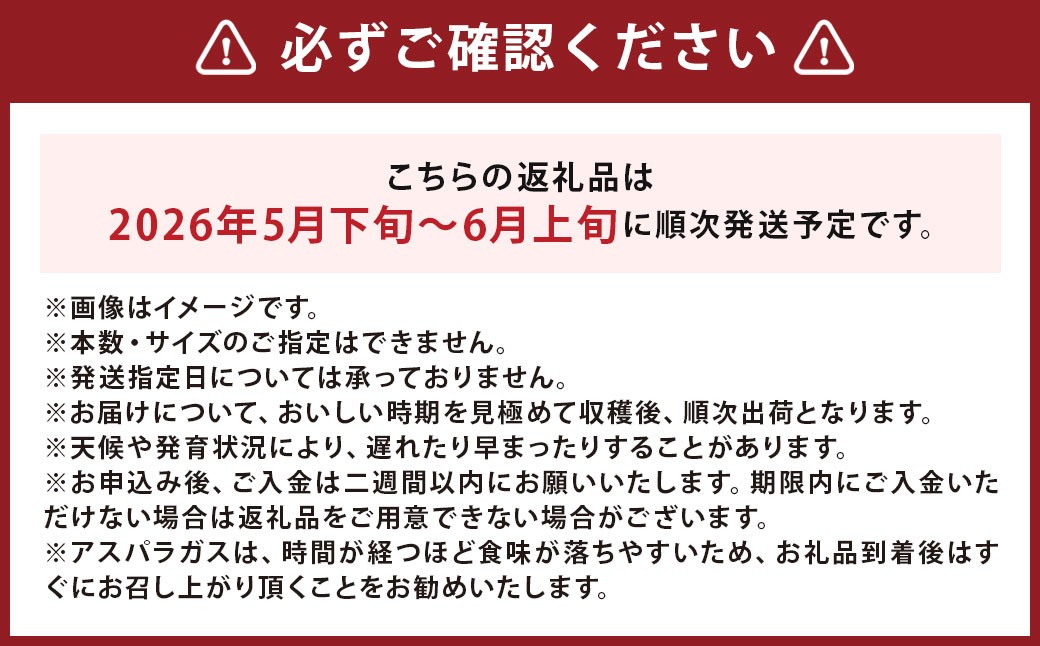 北海道産露地栽培アスパラガス M～2L 約5kg
