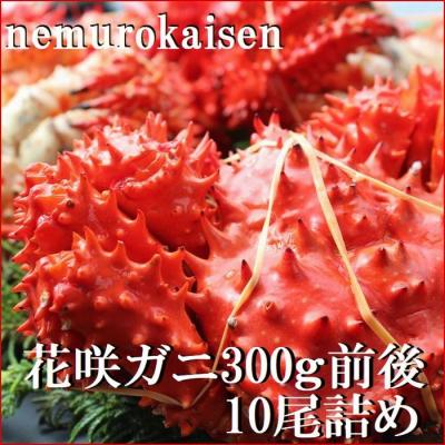 ふるさと納税 根室市 【北海道根室産】花咲ガニ300g×10尾 C-57047