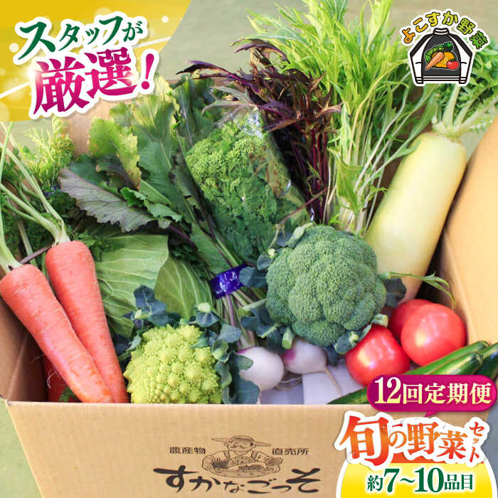 【ふるさと納税】【全12回定期便】よこすか野菜セット すかなボックス 野菜 お野菜 季節野菜 やさい 詰め合わせ 詰合せ セット お楽しみ 産地直送 旬 厳選 すかなごっそ 農産物 神奈川県 横須賀市 【JAよこすか葉山】[AKFO009]