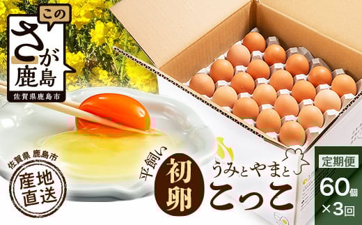 卵 定期便 3回 平飼い卵 初卵「うみとやまとこっこ」 上田養鶏場 たまご 60個 3回 計180個 | 定期便 卵 定期便 3ヶ月 3回 3か月 平飼い 卵 タマゴ たまご 60個 定期 人気 ランキング 定期便 お取り寄せグルメ お取り寄せ 九州 佐賀県 鹿島市 D-117