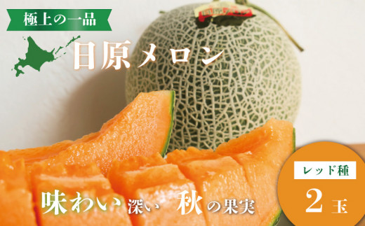 極上の一品「日原メロン（レッド種）」（1.7kg相当×2玉）　E003