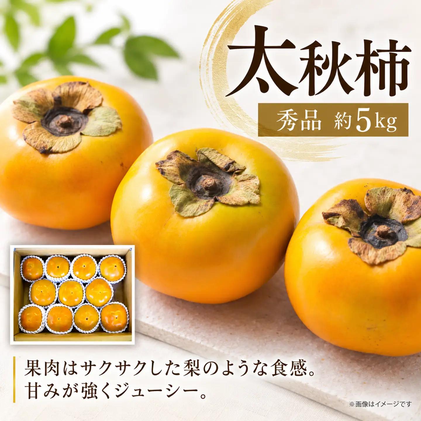 太秋柿（秀品）約５kg 10月発送 ｜ 大玉甘柿