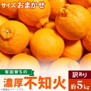 【ふるさと納税】【限定】 有田育ちの濃厚 不知火 (デコポンと同品種)（訳あり 家庭用）5kg