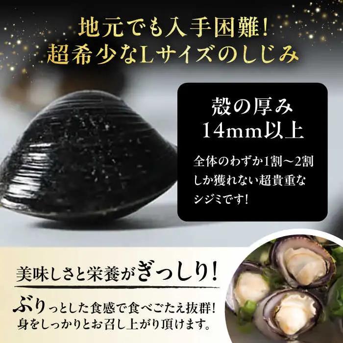 しじみ しじみ 地元でも入手困難なレアサイズ！ 宍道湖産ヤマトシジミ(冷凍砂抜き済み)Lサイズ1kg×5袋(5kg) 島根県松江市/宍道湖漁業協同組合[ALAZ001] しじみ しじみ