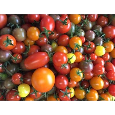ふるさと納税 上川町 『旬なお野菜をお届け!』約10種類お野菜詰め合わせセットをお届けします!【岸田農園産】 |  | 02