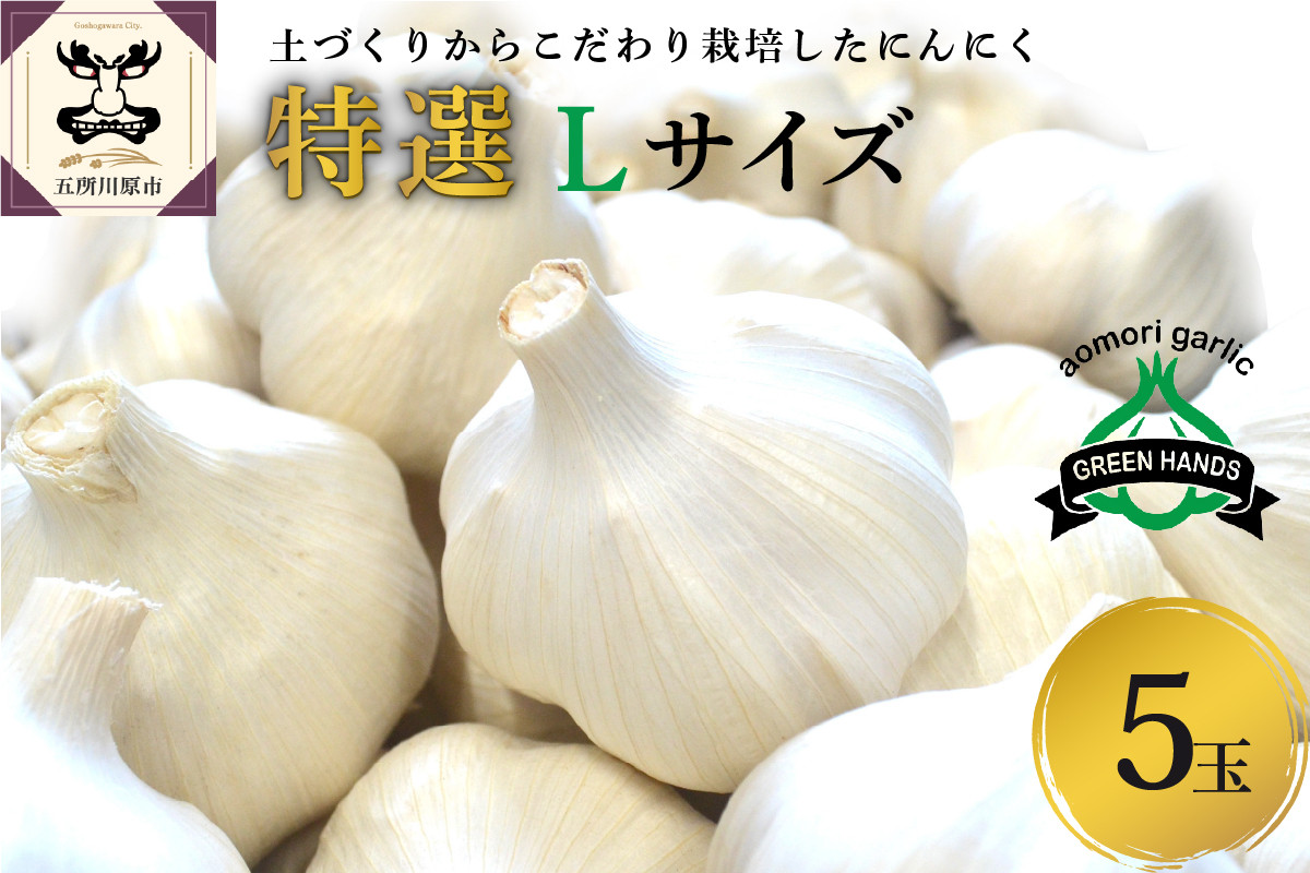 
            【先行受付】【8月下旬より順次発送】 にんにく　青森県産（特撰） Lサイズ5玉 ホワイト六片 【 にんにく 青森 五所川原 大蒜 ニンニク ガーリック 青森県産にんにく 】
          