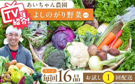 【16品】農薬に頼らない！カラダにやさしい「よしのがり野菜」セット（ラージ）吉野ヶ里あいちゃん農園 [FAA009]