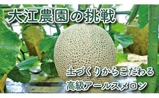 【数量限定】京都丹後産 セリーヌメロン 2玉入り（2026年7月～発送）　国産 旬 アールスメロン めろん メロン 青肉 2玉 先行予約 期間限定 フルーツ くだもの 果物　AM00717