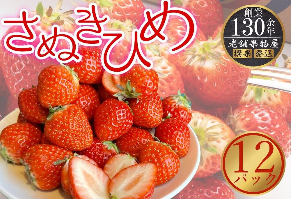 
            さぬき姫いちご　12パック（1パック約250g）
          