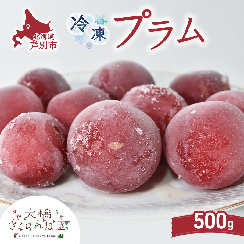【ふるさと納税】プラム 500g 冷凍 果物 くだもの フルーツ 旬の果物 旬のフルーツ 大橋さくらんぼ園 果物類 フルーツ デザート 完熟 急速冷凍 新鮮 美味しい 人気 冷凍配送 北海道 芦別市